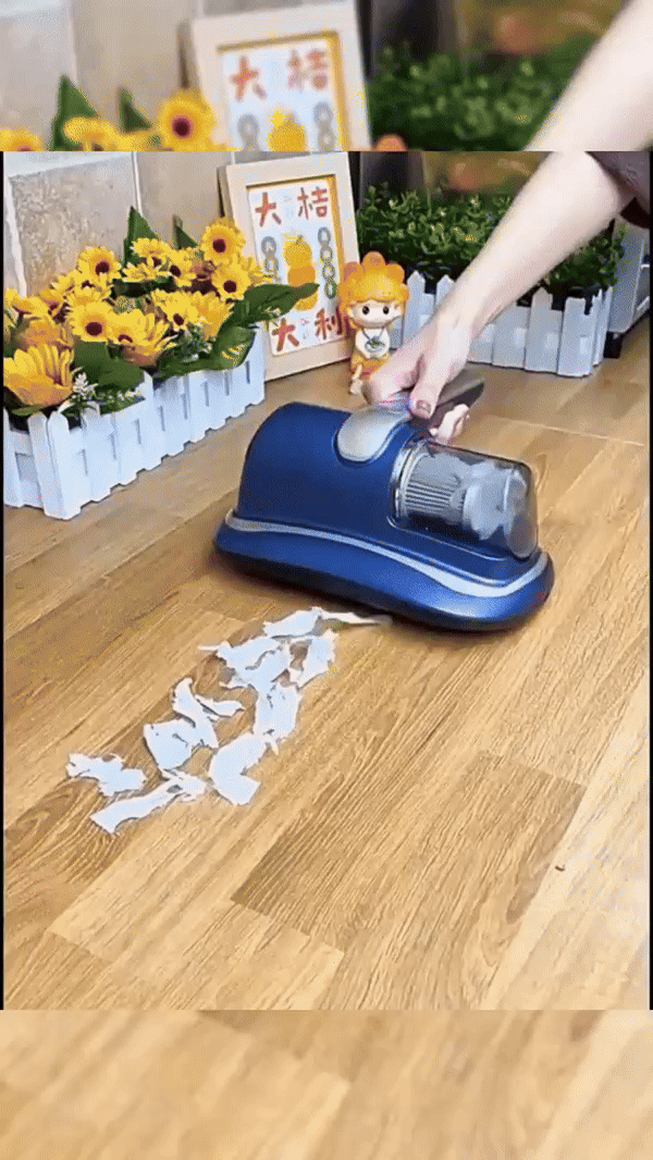 VID-20241217-WA0008-ezgif.com-gif-to-mp4-converter